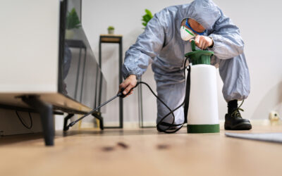 Emergency Solutions for Pest Infestations