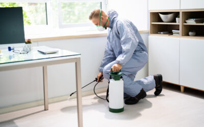 Say Goodbye to Pests and Keep Your Office Safe and Healthy!