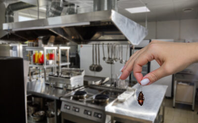 Strategies for Pest Management in Restaurants