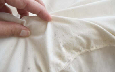 Spotting the Signs of Bed Bugs Before It’s Too Late