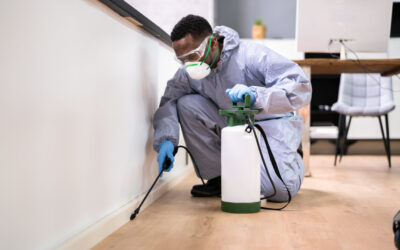 What’s the Best Choice for Your Home?