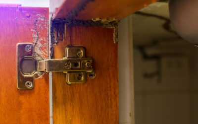 Avoid This Hidden Catastrophe in Your Home!